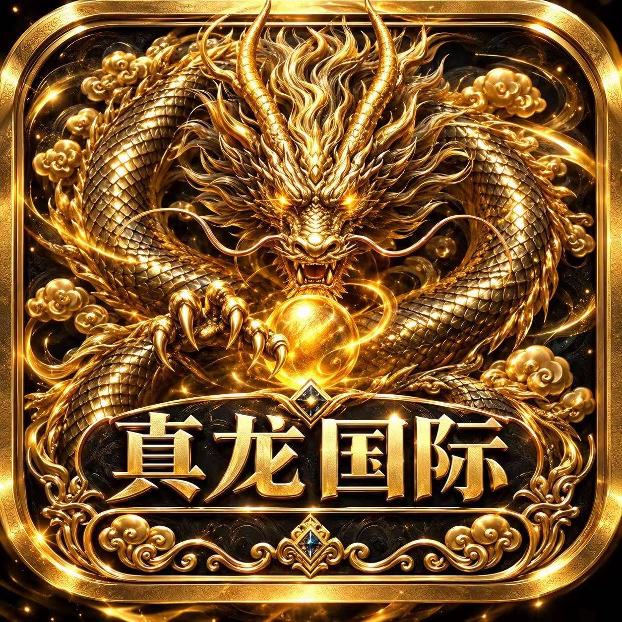 真龙国际